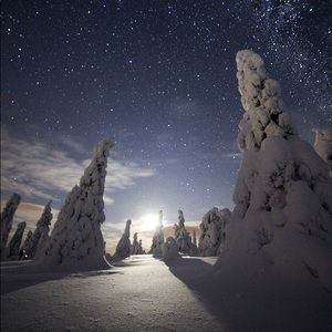 Meet your Posher, Corbin